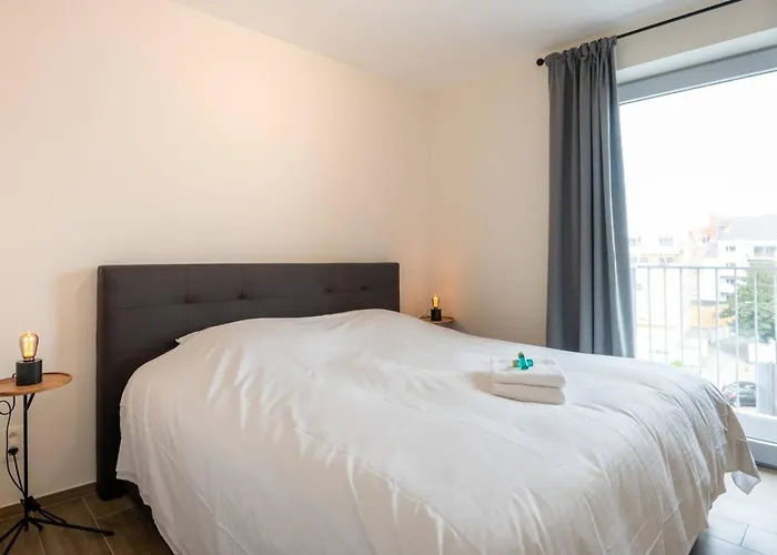 公寓 Wonderful New Close To The 奥斯滕德